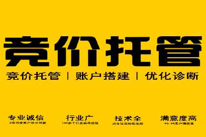抖音信息流代理服务在旅游行业的应用实例